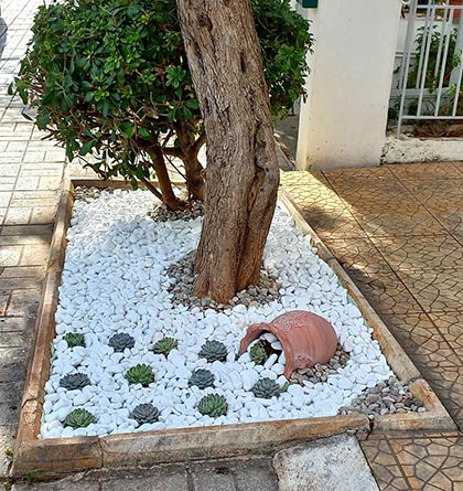 Κήπος και Δημιουργία 9